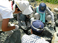 博物館自然教室「恐竜化石発掘現場見学」のイメージ