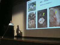 博物館セミナー「特別展関連:恐竜とともに生きた哺乳類―日本からも見つかる小さなケモノたち」のイメージ