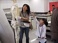 博物館自然教室「骨をしらべよう！」のイメージ