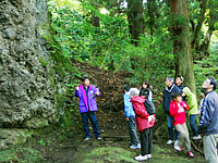 大矢谷白山神社にある巨大岩塊です。