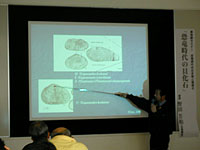 博物館セミナー「恐竜時代の生き物と環境⑨ 恐竜時代の貝化石」のイメージ