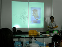 恐竜の種類により異なる歯の説明です。