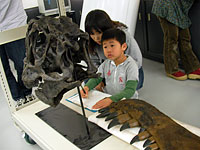 頭骨を前にじっくりと観察します。