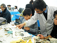 取り出した化石、どのようなものでしょう？