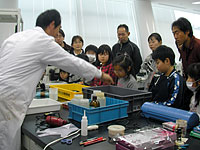 南米で採取された化石標本の説明です。