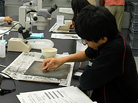 化石の含まれる石の表面をよく磨きます。