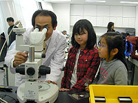 どうでしょう？化石が見えますか？