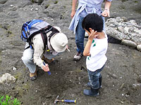 野外観察会「石川県の地質と化石」のイメージ