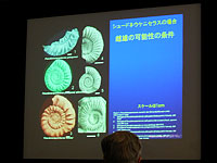博物館セミナー「生命の歴史をひもとく③ アンモナイトの雄と雌」のイメージ