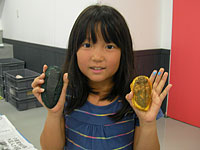 できたよ！恐竜の歯と三葉虫のレプリカ