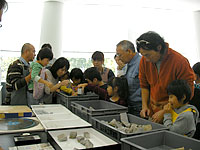 もとになる化石のブロックを選んでいます。