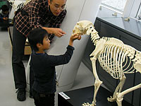 この骨はこの動物のあごでしょうか？