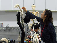 人間の骨と共通するところ、しないところは？