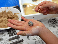 発見！たくさんの黄鉄鉱粒が含まれる石です。