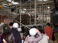 博物館自然教室「カマラサウルス組み立て見学ツアー 午後の部」のイメージ