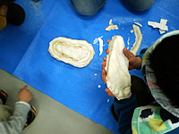 博物館自然教室「自分の足型を作ってみよう！」のイメージ