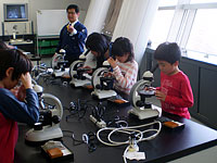 鉱物の明るさや色の変化を観察します