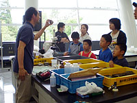 木の化石の性質についてお話しします