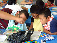 恐竜をかっこよく色づけしましょう