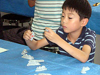 いくつか作ったレプリカの歯を見比べています