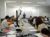 何種類もの骨格と骨が並べられます。