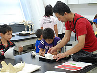 骨の特徴をメモしていきましょう。