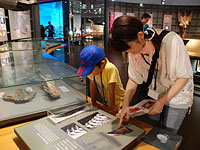 展示室にもヒントを探しに行きました。