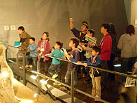 展示室で大まかに恐竜の特徴を説明します。