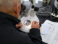 顕微鏡下で微化石を採取します。