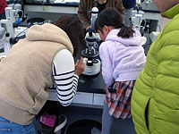 ちょっと取った水溶液にも微化石が。