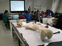 様々な種類の恐竜の骨を用意しました。