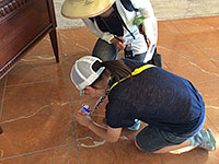 ロビーの床に見事なアンモナイト。