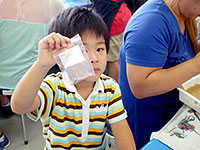 たくさん見つけたね！