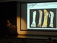 オルテガ教授による研究中の竜脚類の説明