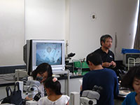 顕微鏡の拡大して見る仕組みについてのお話です。