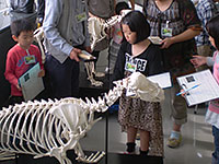 形を比べてみてください。