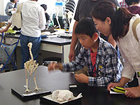 似ているところ違うところ、色々ですね。