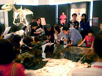 特別展ツアー「特別展の展示解説第4回」のイメージ