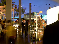 展示室の恐竜から似たものがあるか探します。