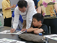 化石の特徴をメモします