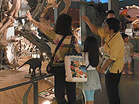 実際の骨格でメモした特徴のものを探します