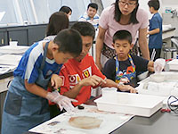 博物館自然教室「木の化石をとかしてはがしてみよう」のイメージ