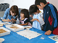 恐竜ふれあい教室「宝探し！金色の鉱物をさがそう！」のイメージ