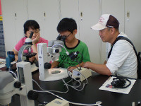 博物館自然教室「ミクロの世界」のイメージ