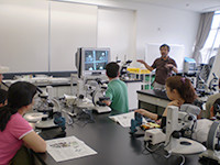 顕微鏡の拡大の仕組みを説明しています。