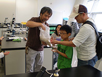 繊維質の植物を観察します。