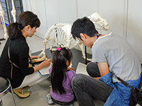 博物館自然教室「ほね探偵事務所」のイメージ