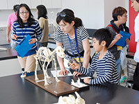 動物の骨格を観察して、どこに特徴があるのか調べましょう。