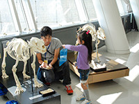 動物で同じ所、違うところがあります。