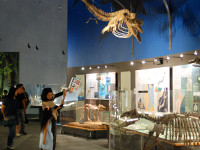 展示室で化石の骨格についても調べました。